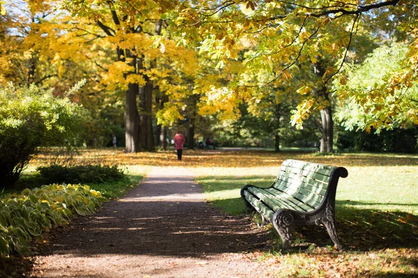 Golden autumn landscape with wooden bench under colourful trees (oak) at sunny warm day. Park with a bench and a pathway with yellow leaves in the autumn alley. Golden autumn concept