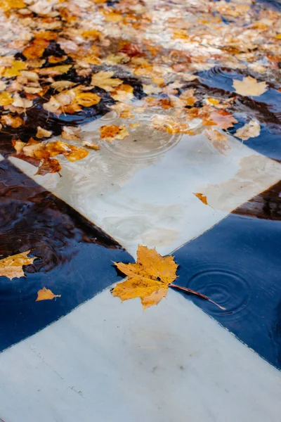 在喷泉中飘扬着五彩斑斓的树叶 秋天的时间概念 — 图库照片