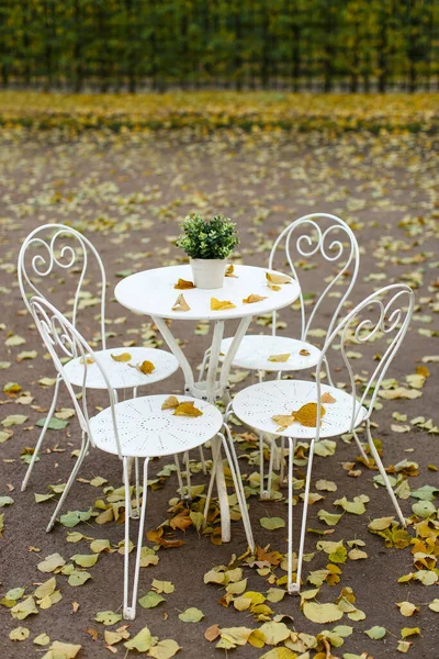 Lege Vintage Metalen Witte Tafel Met Kunstbloem Een Pot Stoelen — Stockfoto