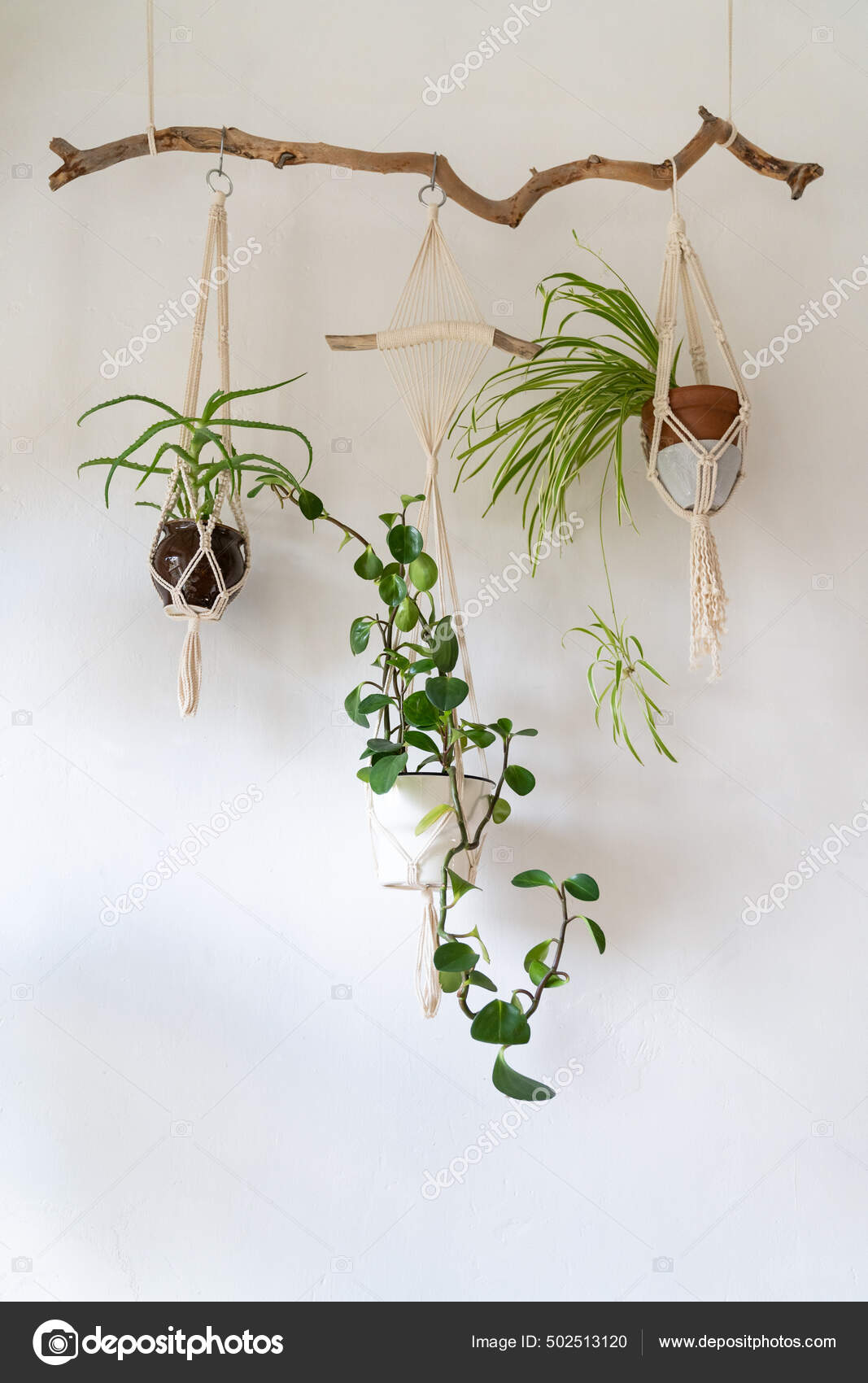 Decorative macrame plant hanger with cotton yarn, decorating the ...