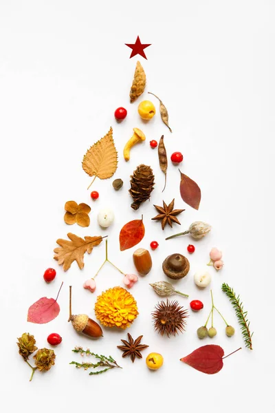 Creative image of handmade Christmas tree made of wild berries, dry leaves and flowers, anise, nuts, mushroom, spiny chestnut, cones, twigs on white background. New Year concept. Flat lay.
