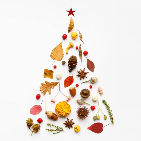 Creative image of handmade Christmas tree made of wild berries, dry leaves and flowers, anise, nuts, mushroom, spiny chestnut, cones, twigs on white background. New Year concept. Flat lay. Square crop