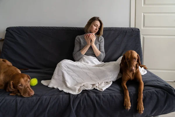 Ensam kvinna tillbringar helgen hemma dricka te med två hundar, ingen pojkvän och vänner efter skilsmässa — Stockfoto