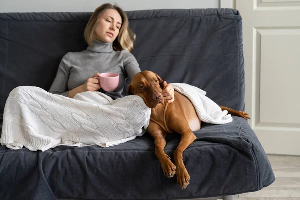 Frustrerad vuxen kvinna undvika sociala kontakter hemma med hund efter vän svek, älskare bryta upp — Stockfoto