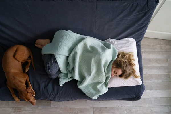 Fáradt nő alszik kanapén közel megnyugtató kutya, felülnézetből. Egyedülálló vagy elvált nő depresszióban szenved — Stock Fotó