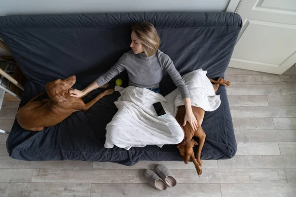 Dépression après le divorce : les femmes passent la journée avec deux chiens éviter la communication avec les gens. La solitude — Photo