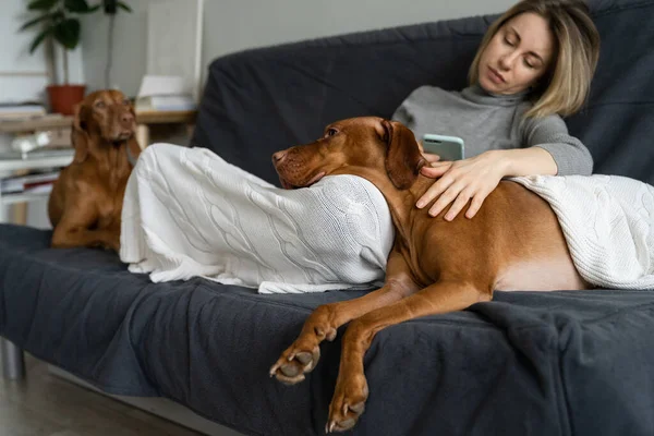 Bipolär sjukdom och depression: ledsen kvinna sitta med hundar avbryta möten i smartphone mår dåligt — Stockfoto