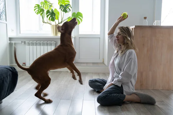 Szczęśliwa właścicielka z psem Vizsla bawiącym się piłką tenisową w domu, siedząca na podłodze — Zdjęcie stockowe