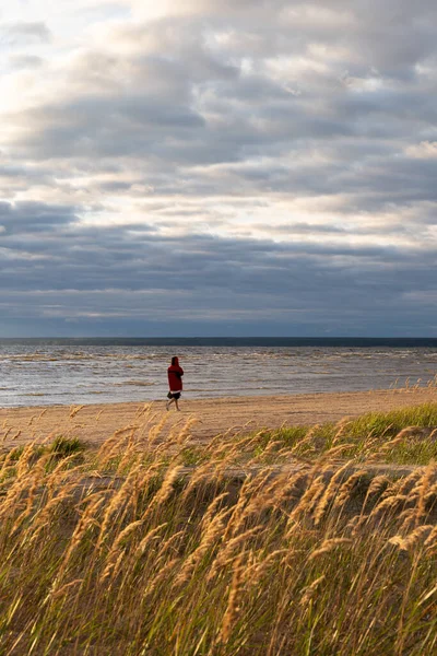 Zrelaksowana kobieta samotnie spaceruje po plaży po zachodzie słońca oddychając świeżym powietrzem i jesiennym pochmurnym widokiem na niebo — Zdjęcie stockowe