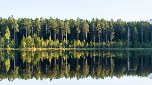 Las jezioro z odbiciem zielonych drzew w wodzie. Piękna jesień w lesie. Czyste piękno natury — Zdjęcie stockowe