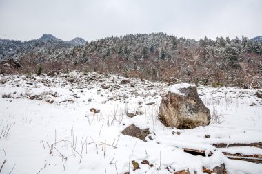 manzara ülkede kar yağışı