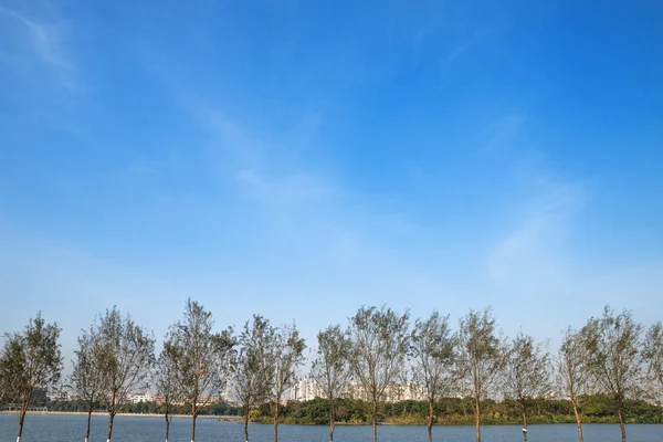 Árboles junto al paisaje del río — Foto de Stock