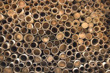 Bambu bölüm arka plan