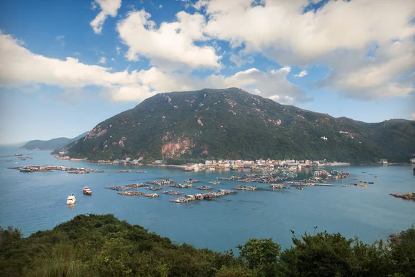 Hongkong Lamma Adası