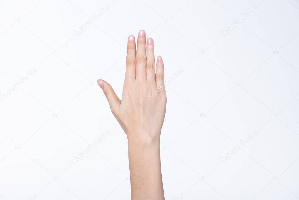 Female beautiful talent hand, arm and fingers in good shape figure show gesture meaning sign posing, studio lighting isolated white background for advertising body part