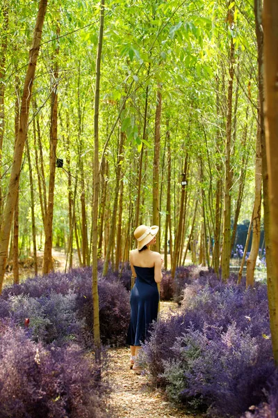 Transgender LGBT Woman walk in Fantasy Flower Dream purple bush with beautiful color in summer spring. Asian lady blue dress hat and express feeling dreamlike romantic, copy space