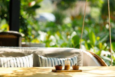 Kaktüs ağacı üzerinde sallanan sandalye ile arka plan sabah güneşi, soyut duvar kağıdı arkaplan tazeliği