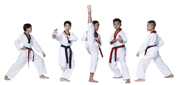 Sabuk Merah Hitam Taekwondo Atlet Karate Anak Anak Muda Menunjukkan — Stok Foto