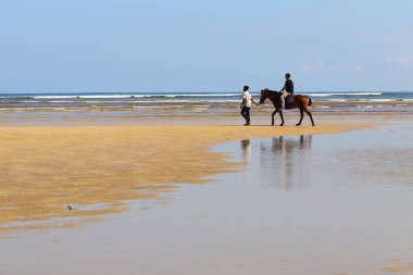 Sahilde Ata Binen Adam. Okyanus dalgası ve at besleyicisi. Kumsalda yol boyunca dikkatli olun.