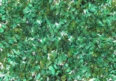 Birçok Kelebek dekoratifi yeşil arka planda izole edilmiş.