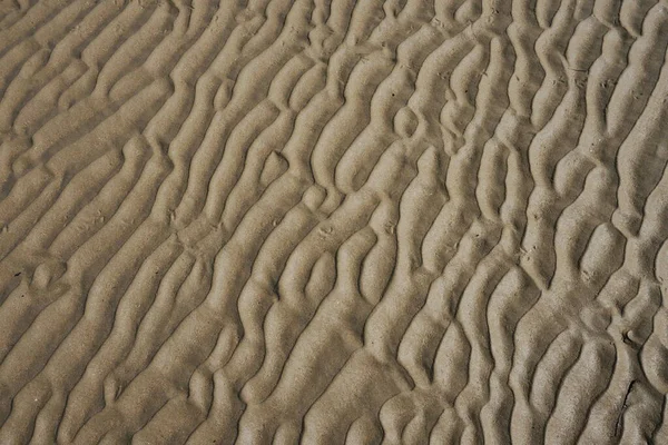 Playa Arena Ondulada Por Mañana Con Sombra Para Mostrar Textura — Foto de Stock