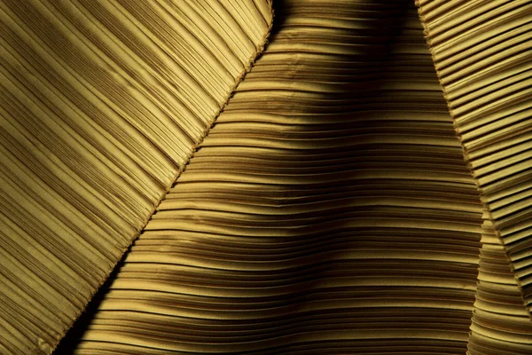 有阴影的长线窗帘衬托下的折叠式织物 金黄色的折叠式纺织品图案 镶嵌在图层设计波纹壁纸中 工作室近距离照明背景图像 — 图库照片