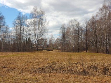 Bahar parkı, kar eridi, ilk çim ortaya çıktı. Perma bölgesi, Rusya