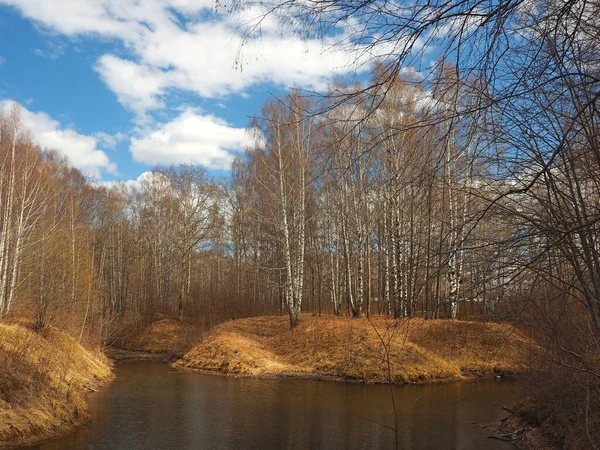 River Körfezi Bahar Parkı Kar Eridi Ilk Çim Ortaya Çıktı — Stok fotoğraf