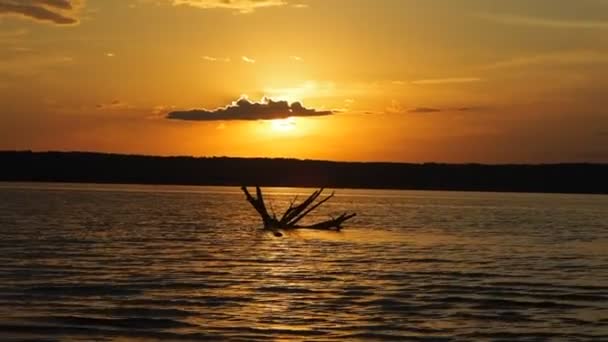 Zomer Zonsondergang Kama Rivier Driftwood Het Water Mooie Wolken Rusland — Stockvideo