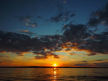 Kama nehrinde yaz günbatımı. Suda sürüklenen ağaç dalları. Güzel bulutlar. Rusya, Ural, Perma Bölgesi, Elovo.