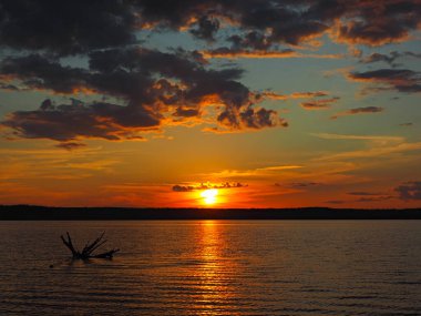 Kama nehrinde yaz günbatımı. Suda sürüklenen ağaç dalları. Güzel bulutlar. Rusya, Ural, Perma Bölgesi, Elovo.