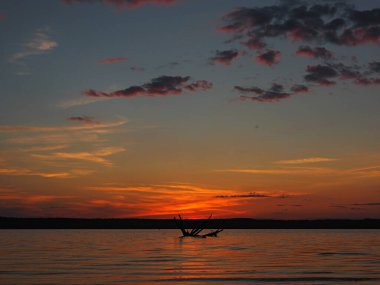 Kama nehrinde yaz günbatımı. Suda sürüklenen ağaç dalları. Güzel bulutlar. Rusya, Ural, Perma Bölgesi, Elovo.
