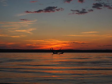 Kama nehrinde yaz günbatımı. Suda sürüklenen ağaç dalları. Güzel bulutlar. Rusya, Ural, Perma Bölgesi, Elovo.
