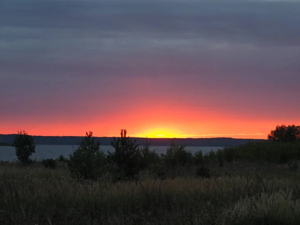 Puesta Sol Verano Caña Río Orilla Árboles Solitarios Rusia Territorio —  Fotos de Stock