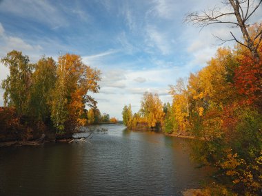 Sonbahar. Parktaki sonbahar ağaçları. Nehir koyunda yüzen yapraklar. Güzel gökyüzü. Rusya, Ural, Perm bölgesi