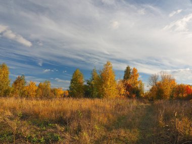 Sonbahar. Sonbahar ormanı, terk edilmiş tarla ve yol. Bulutlu güzel bir gökyüzü. Rusya, Ural, Perm bölgesi