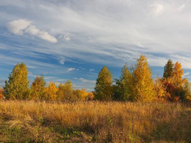 Sonbahar. Sonbahar ormanı, terk edilmiş tarla ve yol. Bulutlu güzel bir gökyüzü. Rusya, Ural, Perma Bölgesi Elovo