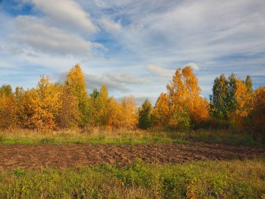 Sonbahar. Sonbahar ormanı, terk edilmiş tarla ve yol. Bulutlu güzel bir gökyüzü. Rusya, Ural, Perm bölgesi
