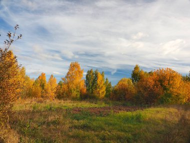 Sonbahar. Sonbahar ormanı, terk edilmiş tarla ve yol. Bulutlu güzel bir gökyüzü. Rusya, Ural, Perma Bölgesi Elovo