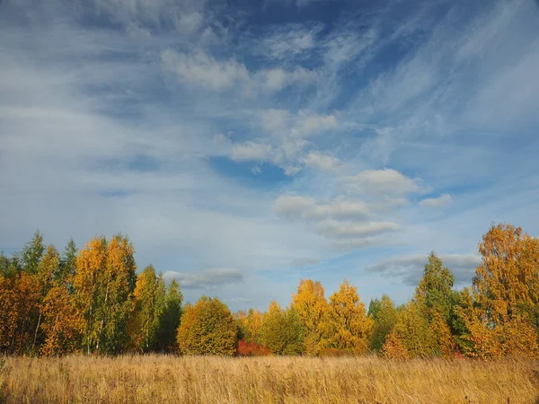 Sonbahar. Sonbahar ormanı, terk edilmiş tarla ve yol. Bulutlu güzel bir gökyüzü. Rusya, Ural, Perma Bölgesi Elovo
