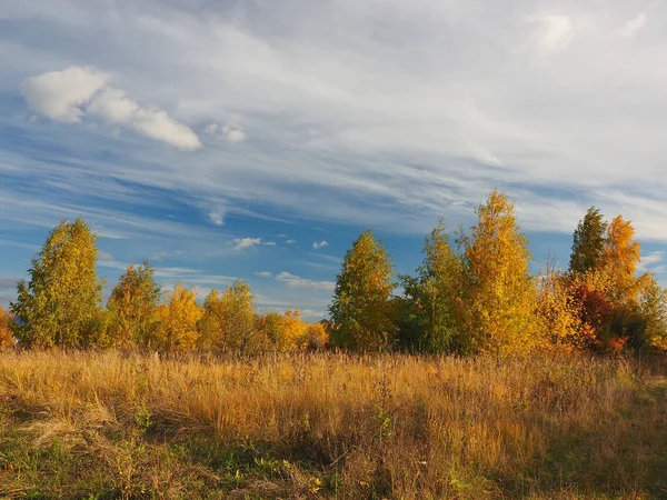 Sonbahar. Sonbahar ormanı, terk edilmiş tarla ve yol. Bulutlu güzel bir gökyüzü. Rusya, Ural, Perma Bölgesi Elovo