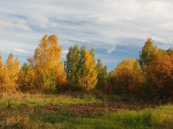 Autumn Autumn Forest Abandoned Field Road Beautiful Sky Clouds Russia — Stock Photo, Image