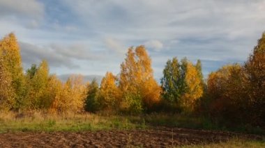 Sonbahar. Sonbahar ormanı, terk edilmiş tarla ve yol. Bulutlu güzel bir gökyüzü. Rusya, Ural, Perm bölgesi