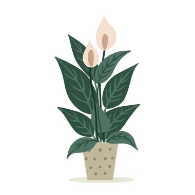 Kavanozda spatula çiçeği. Elle çizilmiş. Vektör illüstrasyonu