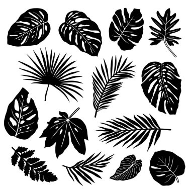 Beyaz arkaplanda izole edilmiş tropikal yaprak siluetleri.