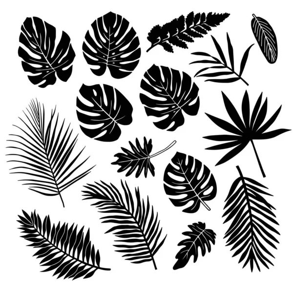Beyaz arkaplanda izole edilmiş tropikal yaprak siluetleri.