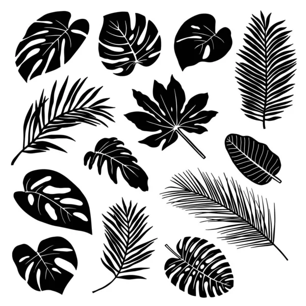 Ensemble Silhouettes Feuilles Tropicales Isolées Sur Fond Blanc — Image vectorielle