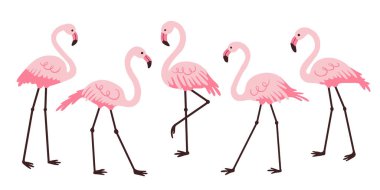 Pembe flamingo seti. Düz stil. Vektör illüstrasyonu.