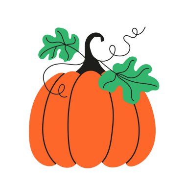 Hand-drawn pumpkin with leaves. For autumn holidays. Vector illustration.