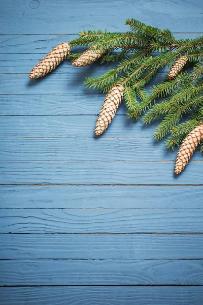 Branches Sapin Avec Cônes Sur Fond Bois Bleu — Photo